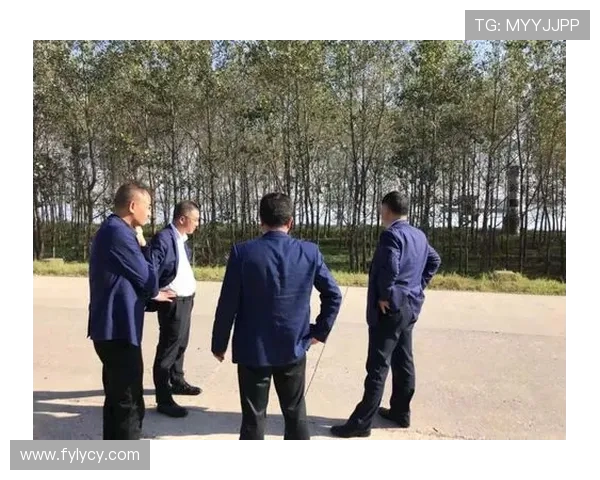 新疆广汇产业布局深度解析及未来发展战略探讨