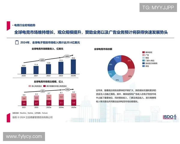 聚焦电竞职业联赛发展探索数字竞技产业未来新格局