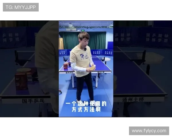 乒乓球技术解析与训练方法提升技巧全攻略 从入门到高手之路